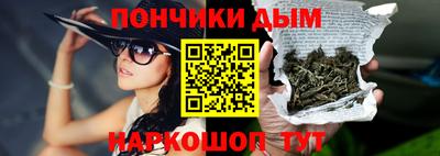 крисы Бийск