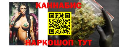 крисы Бийск