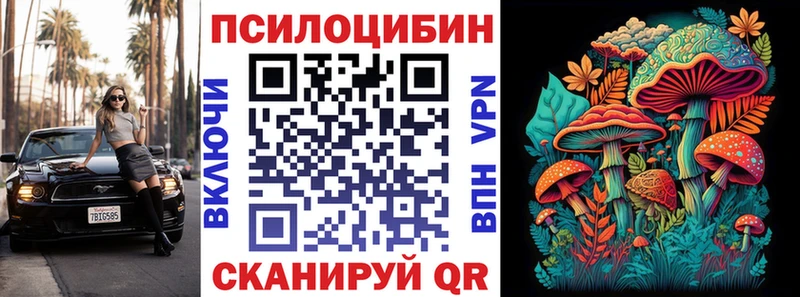 где можно купить   Березники  Галлюциногенные грибы Magic Shrooms 