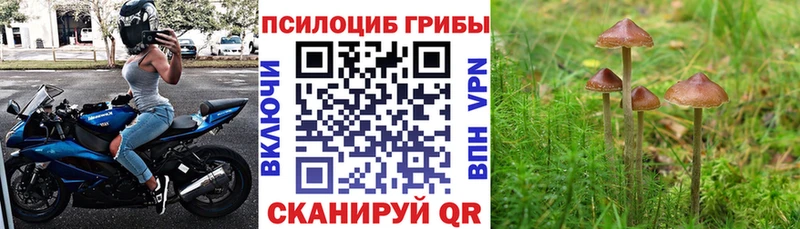 Галлюциногенные грибы ЛСД Березники