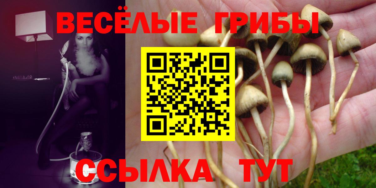 Березники  Псилоцибиновые грибы ЛСД  Галлюциногенные грибы Psilocybe  Вход с VPN 