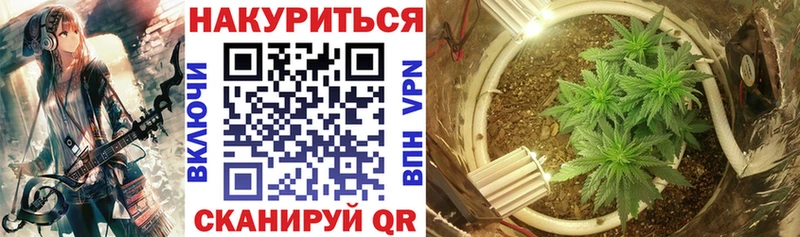 МАРИХУАНА сатива  Березники 